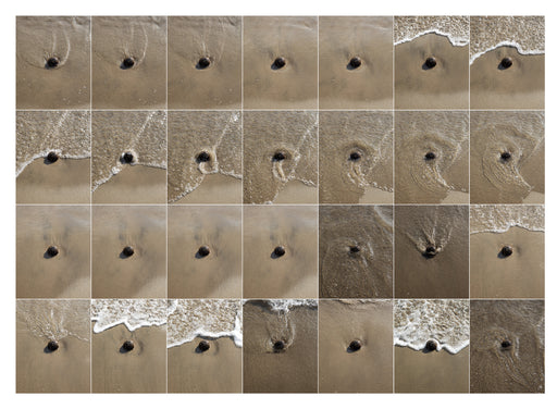 Surf Study - Coconut