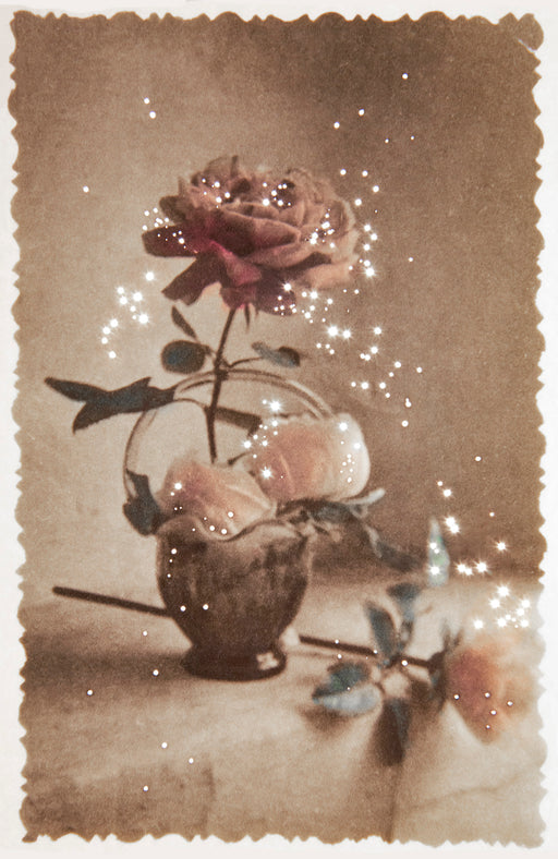 Their Still Life