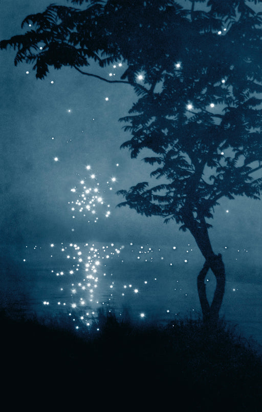 There was nothing like that night, remember it?