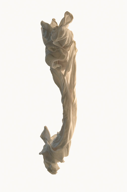 Vestiges (4)