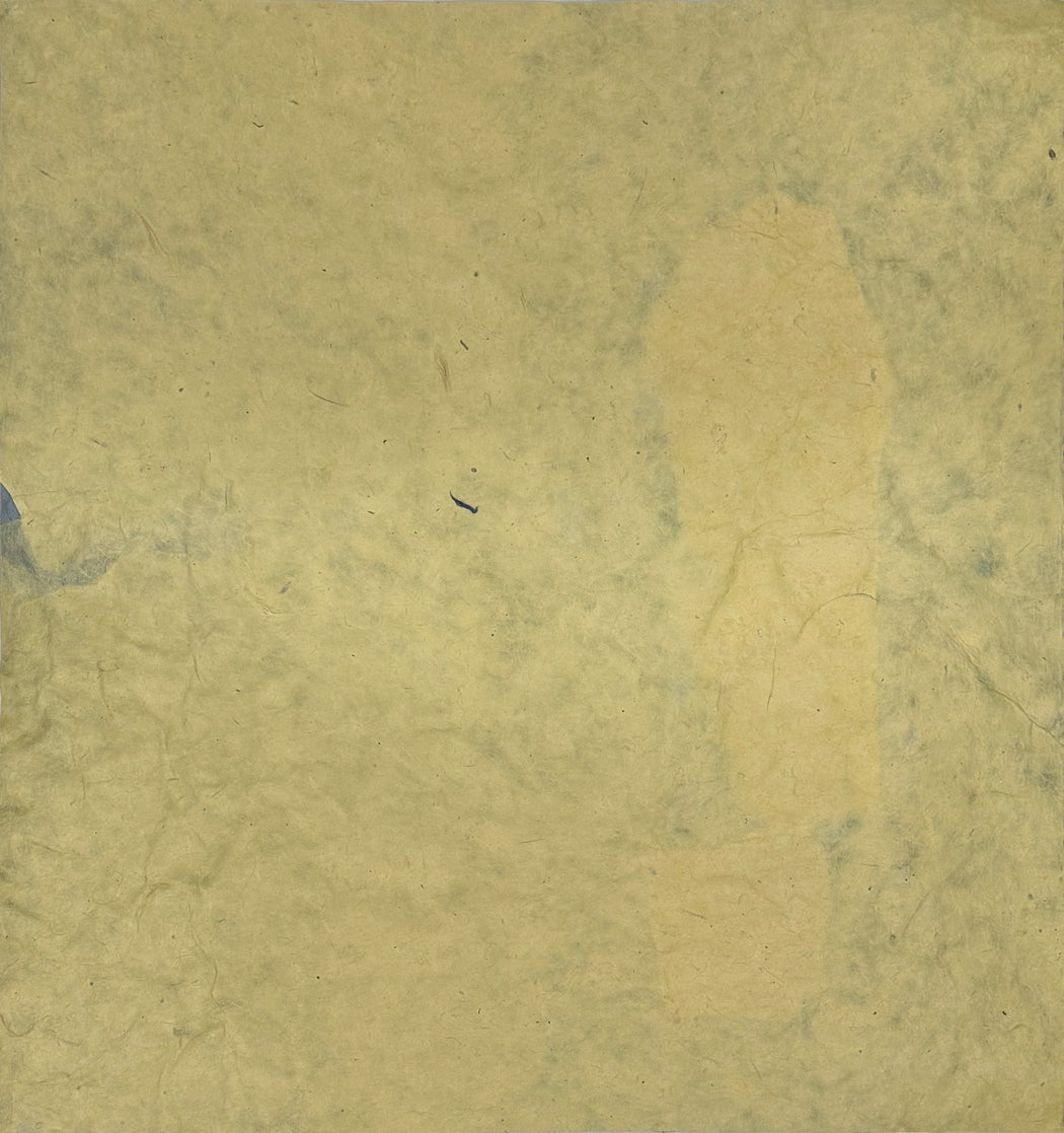 Something I've Been Meaning to Tell You