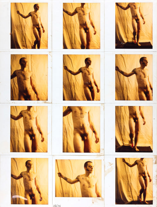 Polaroids