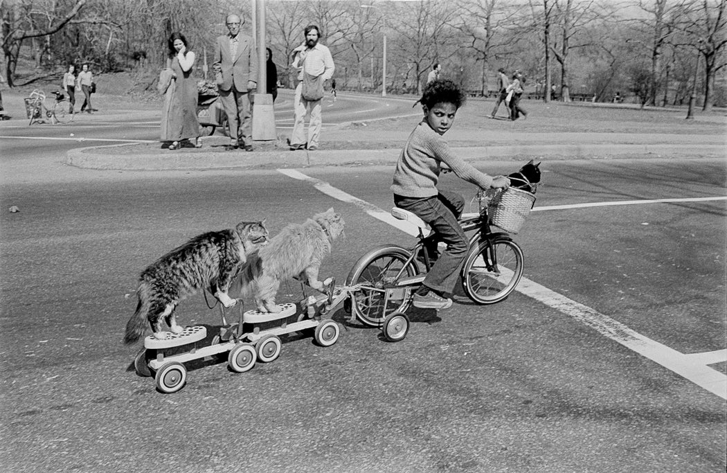 Untitled (boy on bicycle with cats on scooters in Central Park)