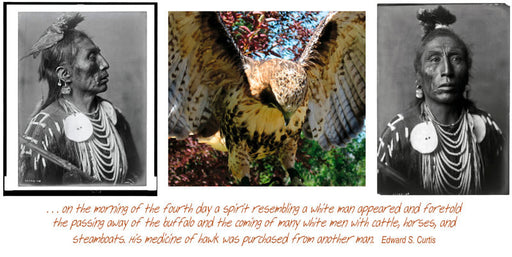 Plate - 11 Who Was Batsi-hawutush (Medicine Crow)? - Jeff Thomas | FFOTO