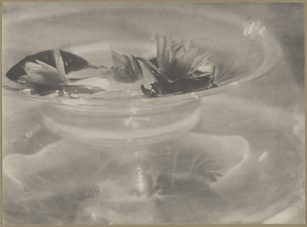 Water Lillies - Baron Adolph De Meyer | FFOTO