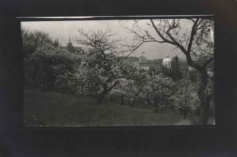 FFOTO-Josef Sudek-(Paysage)