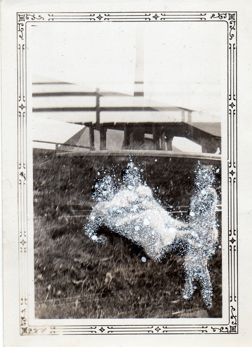 Three young girls in summer dresses on grass - double exposure?