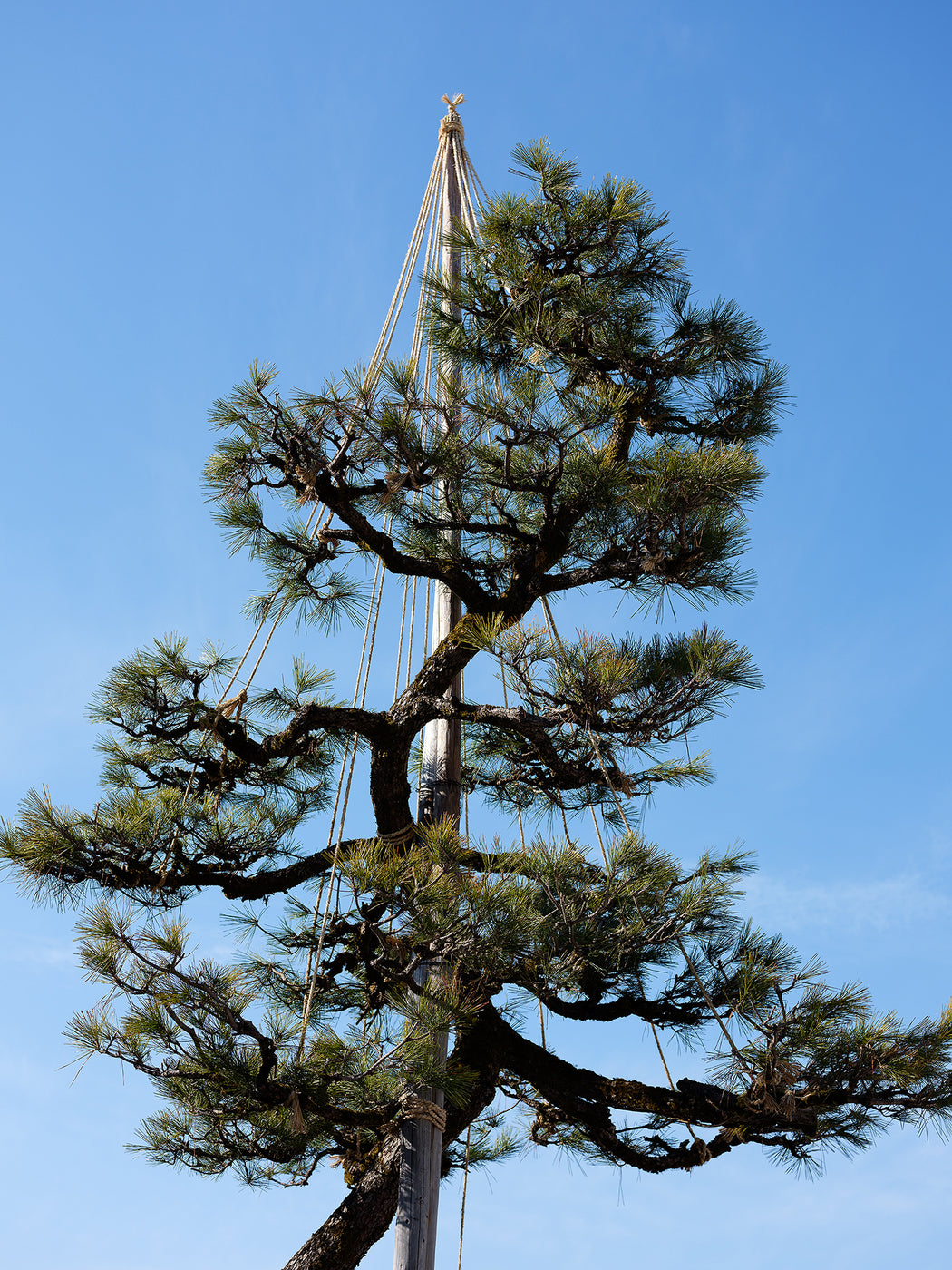 Untitled (formation 01), Shirakawa-go, Toyama prefecture, Japan