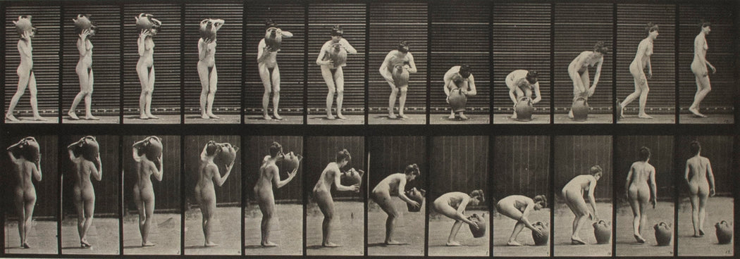 FFOTO-Eadweard Muybridge-Animal Locomotion, Plate 225