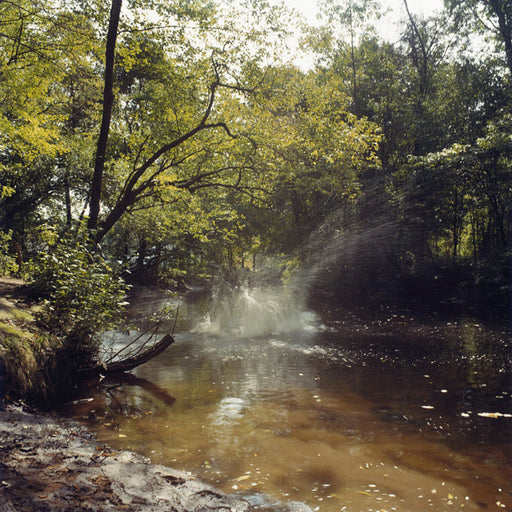 The Splash - Sarah Anne Johnson | FFOTO