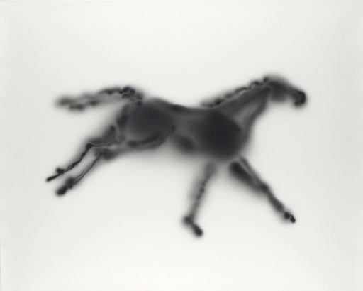 Light Horse (From Eadweard Muybridge's Horses, Running, Sallie G) - Alison Rossiter | FFOTO