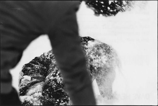 Cincinnati Ohio [Snow fight] - Dave Heath | FFOTO