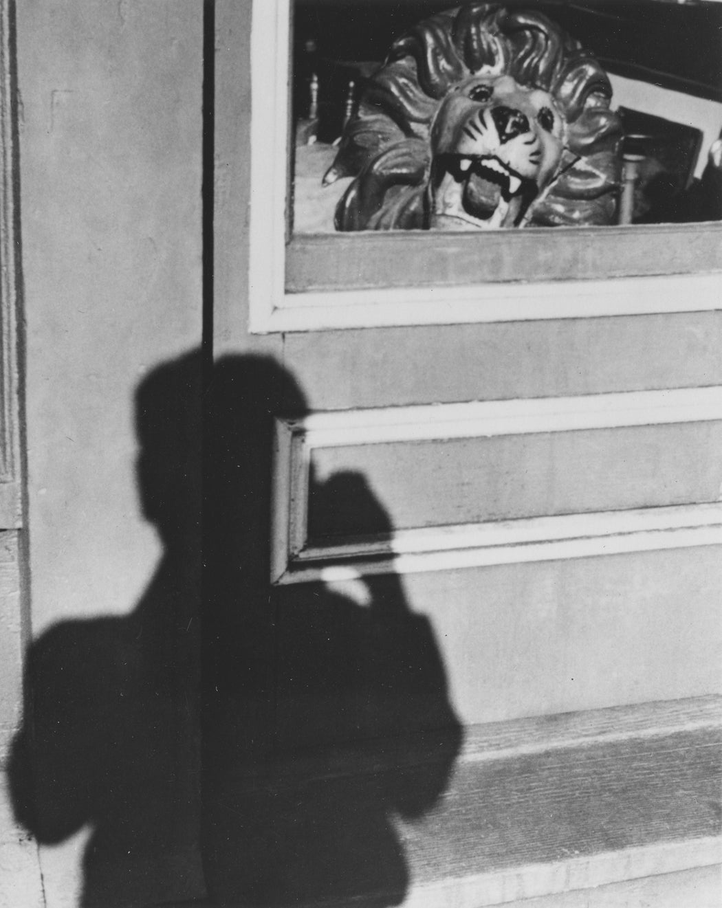 Lion and Shadow, Southport, Long Island, August 14, 1949