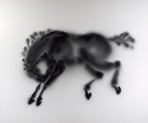 Light Horse – Calgary Stampede