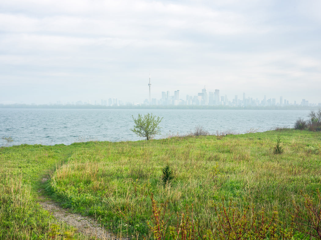 View of Toronto Skyline from Lighthouse Point, Tommy Thompson Park