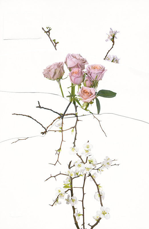 Untitled (Flowers Arrangement) 01