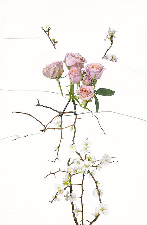 Untitled (Flowers Arrangement) 01