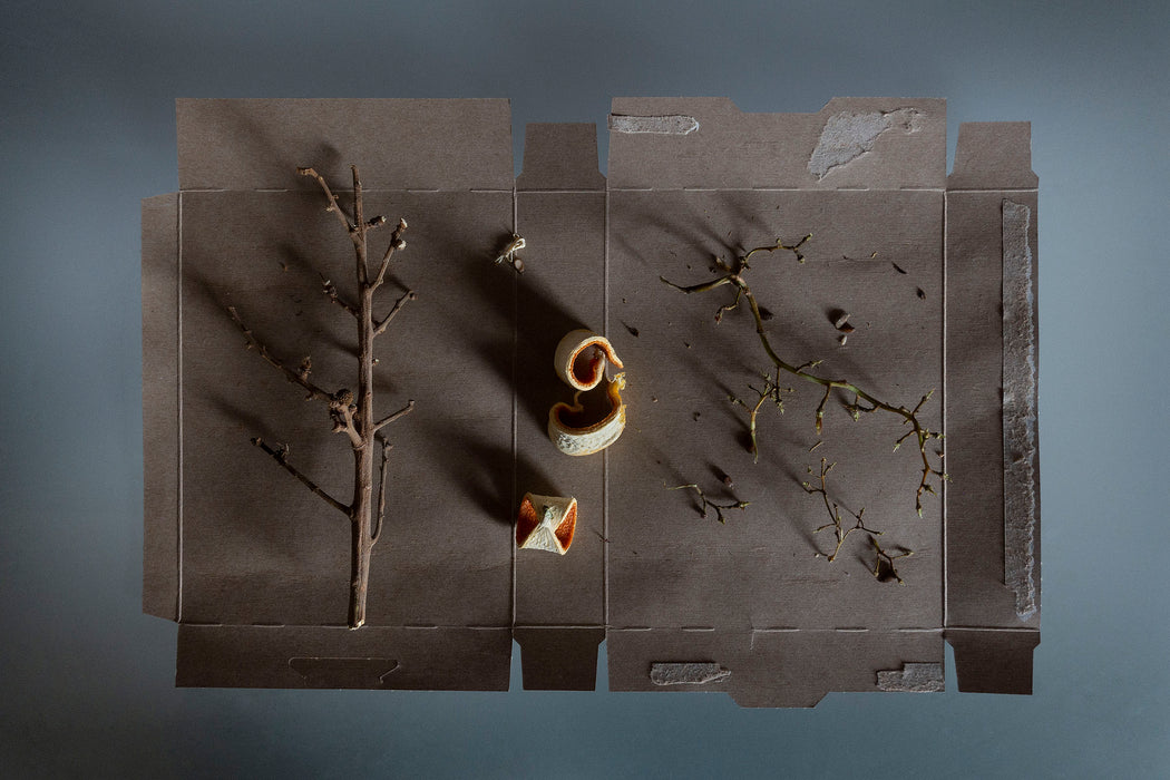 Stems And Orange Peels On Cardboard