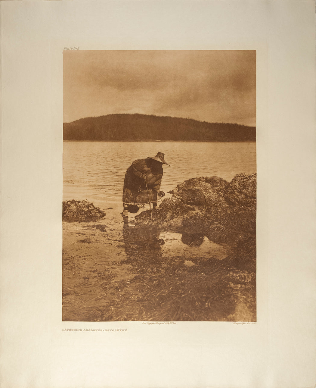 Plate 342, Gathering Abalones - Nakoaktok