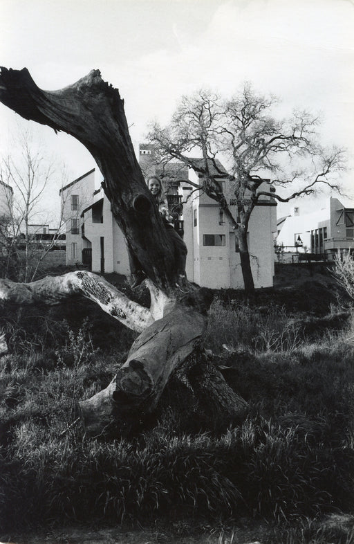 Untitled, Modesto, California [girl smiling from behind uprooted tree]