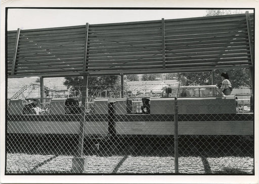 Untitled, Oakland, California ["Little Dipper" sign in background]