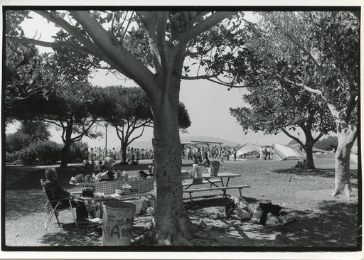 Untitled, San Pedro, So. California [picnic tables under tree]