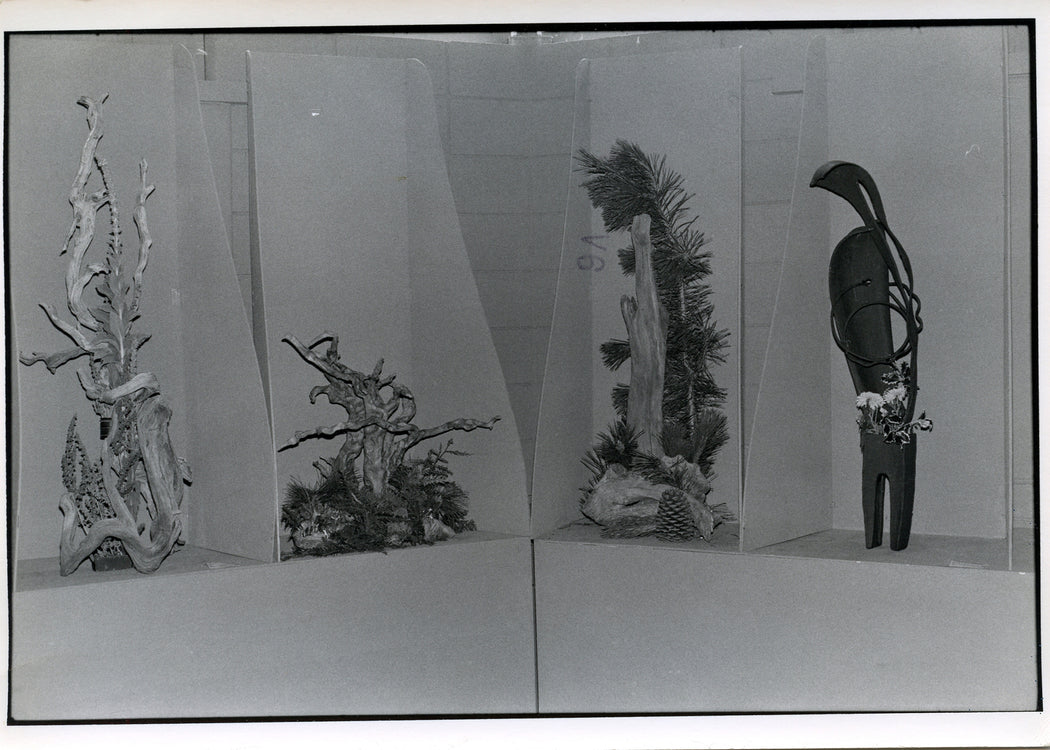 Untitled, Stockton, California [wood and plant displays]