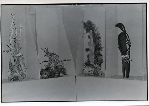 Untitled, Stockton, California [wood and plant displays]
