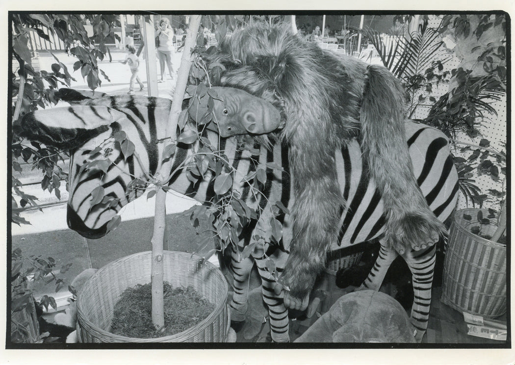Untitled, Vacoville, California [stuffed toys orangutan hugging zebra]