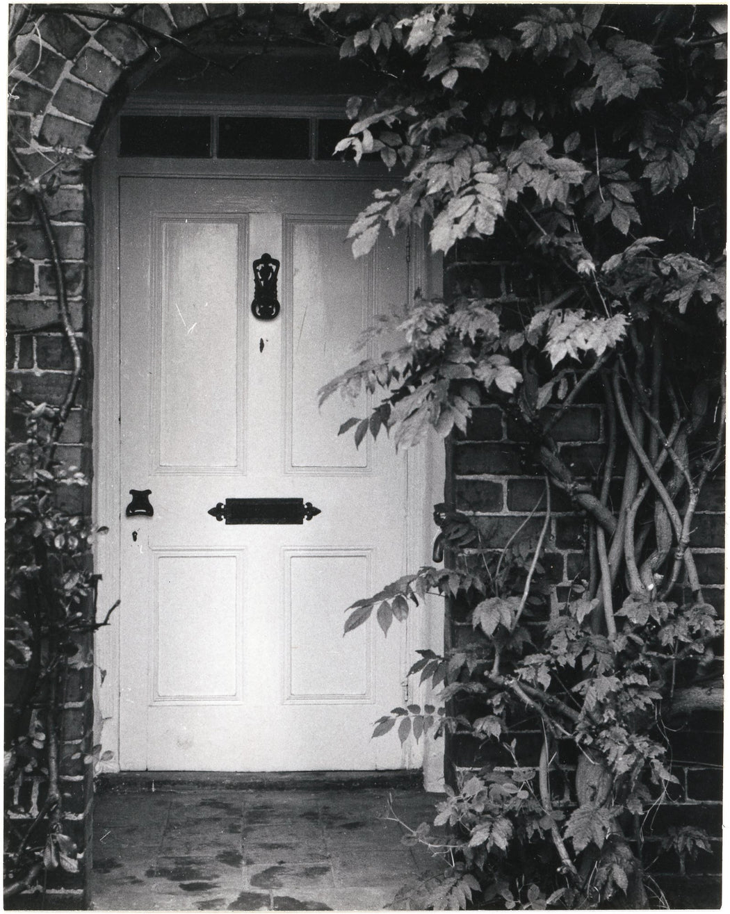 White Door in Now Monkton