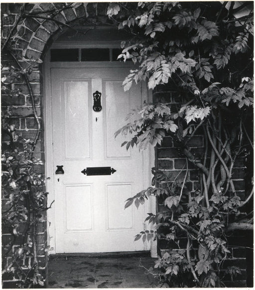 White Door and Plants