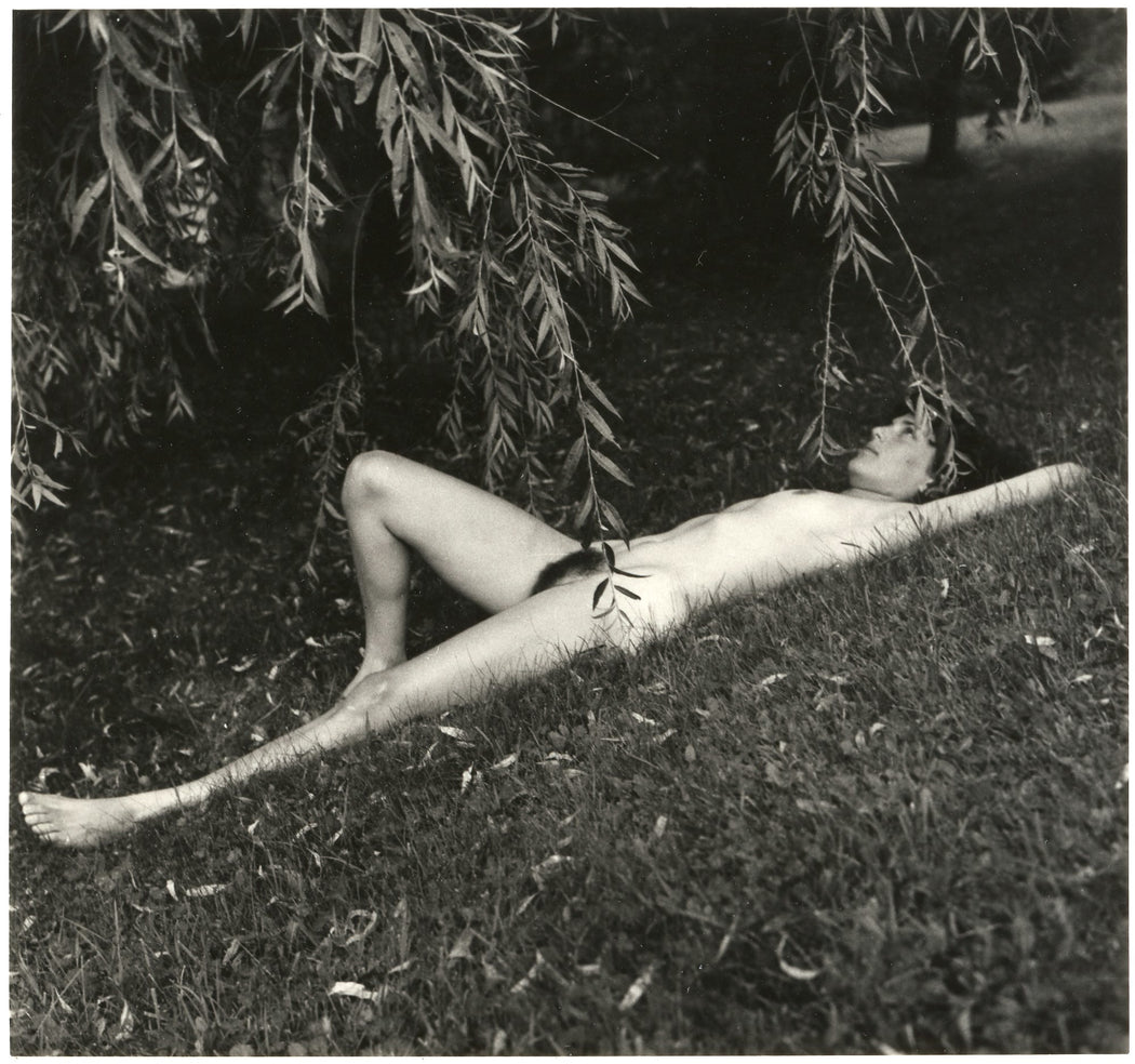 Nude Under Willow Branches