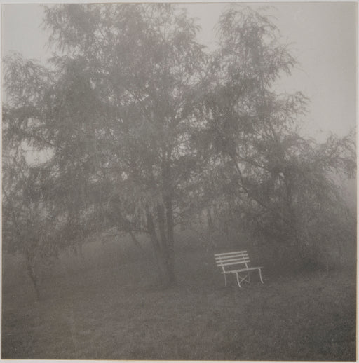 The White Bench in Fog