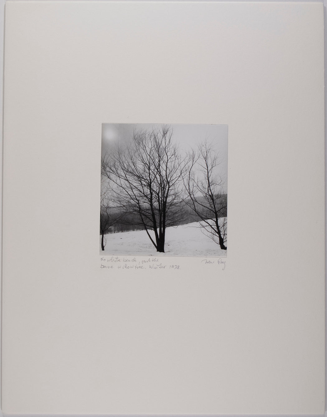 No White Bench, Just The Bare Willow Tree, Winter 1978