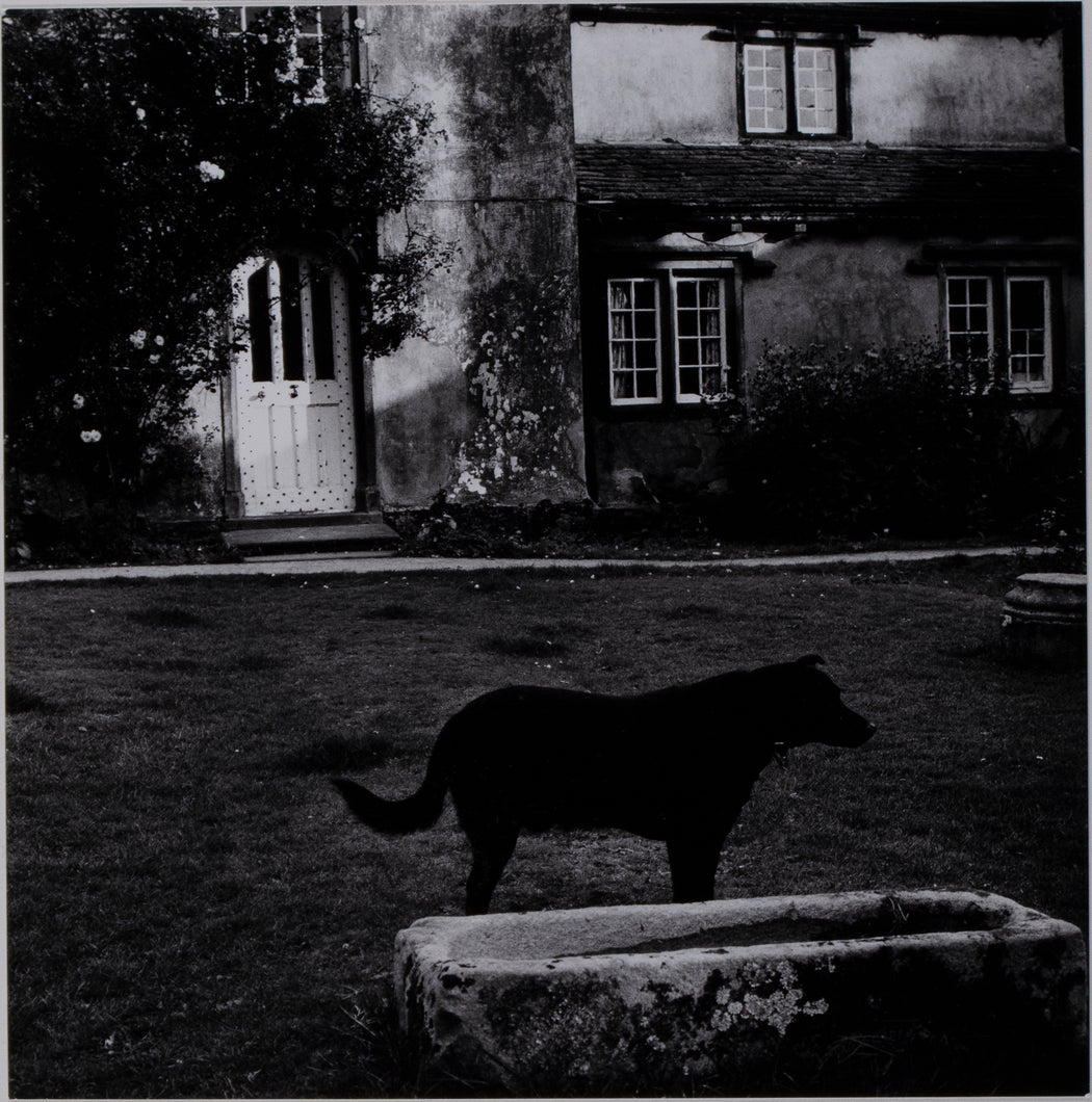 Yorkshire Farmhouse Near Harrowgate and Black Dog