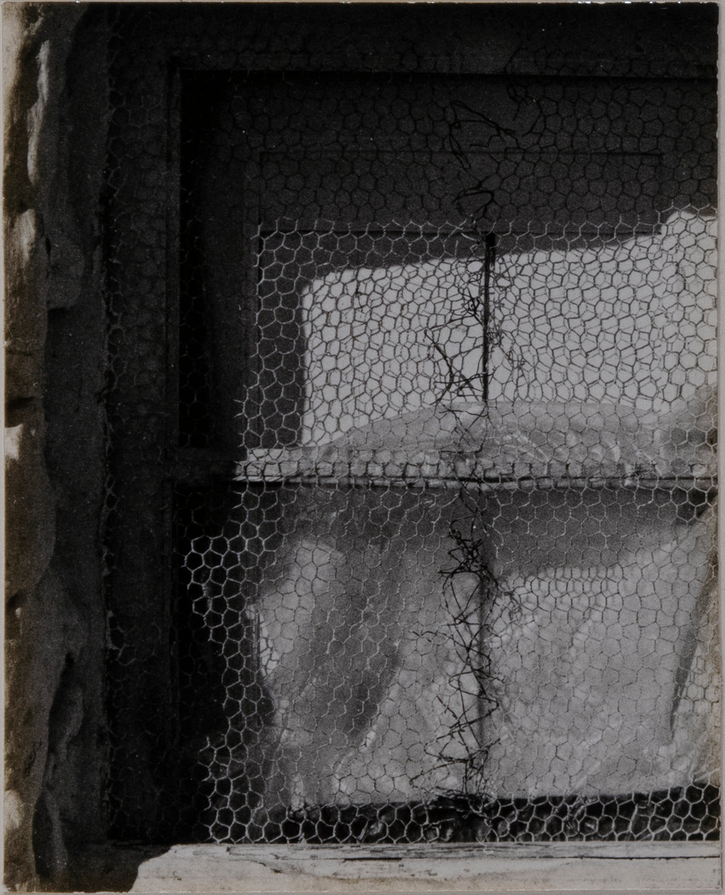 Window With Wire Mesh