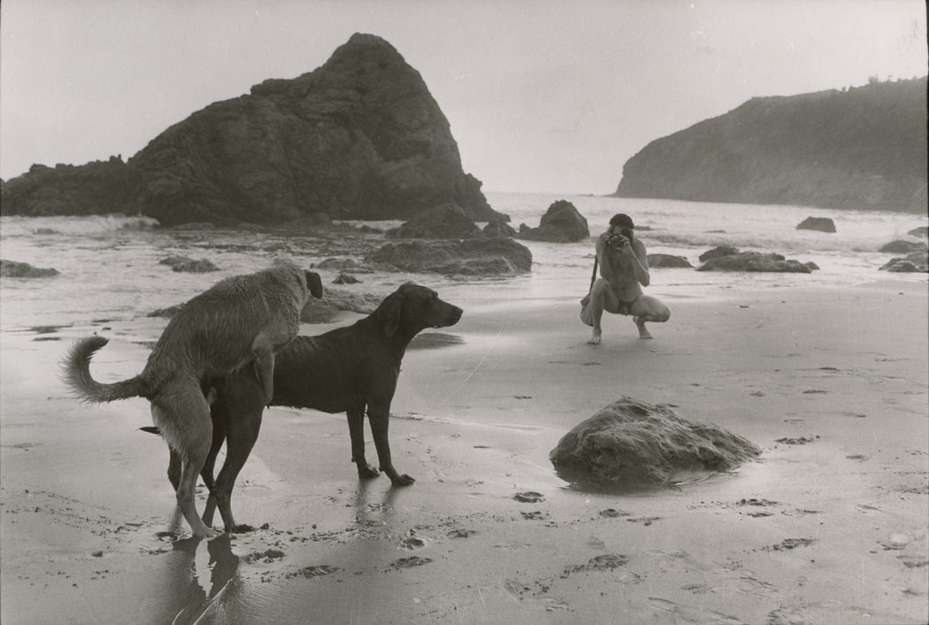 Untitled [Two dogs mating on beach and being photographed by nude photographer]