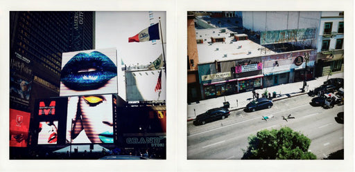 Everything Is In Order #1, Diptych [In collaboration with Chris Soos]