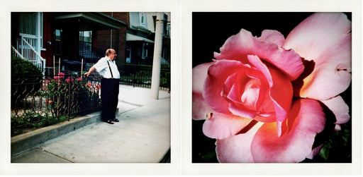 I Never Promised You A Rose Garden #1, Diptych [In collaboration with Chris Soos]
