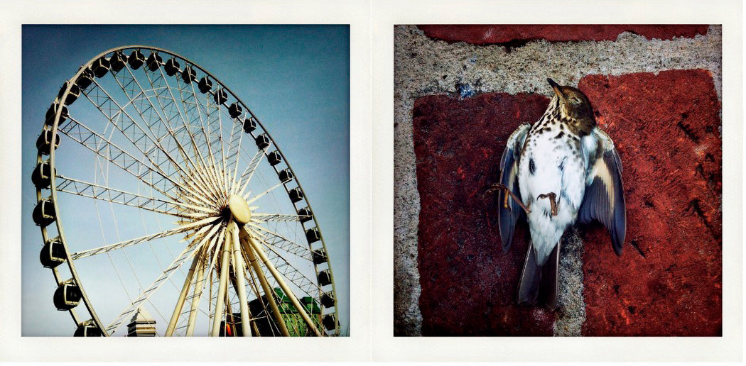 Something About The Monumental And Infinitesimal #1, Diptych 1 [In collaboration with Chris Soos]