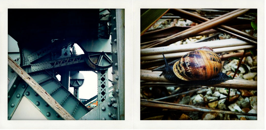 Trains Planes and Automobiles #2, Diptych [In collaboration with Chris Soos]
