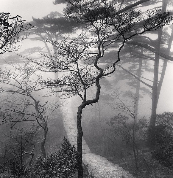 Huangshan Mountains, Study 20, Anhui - Michael Kenna – FFOTO