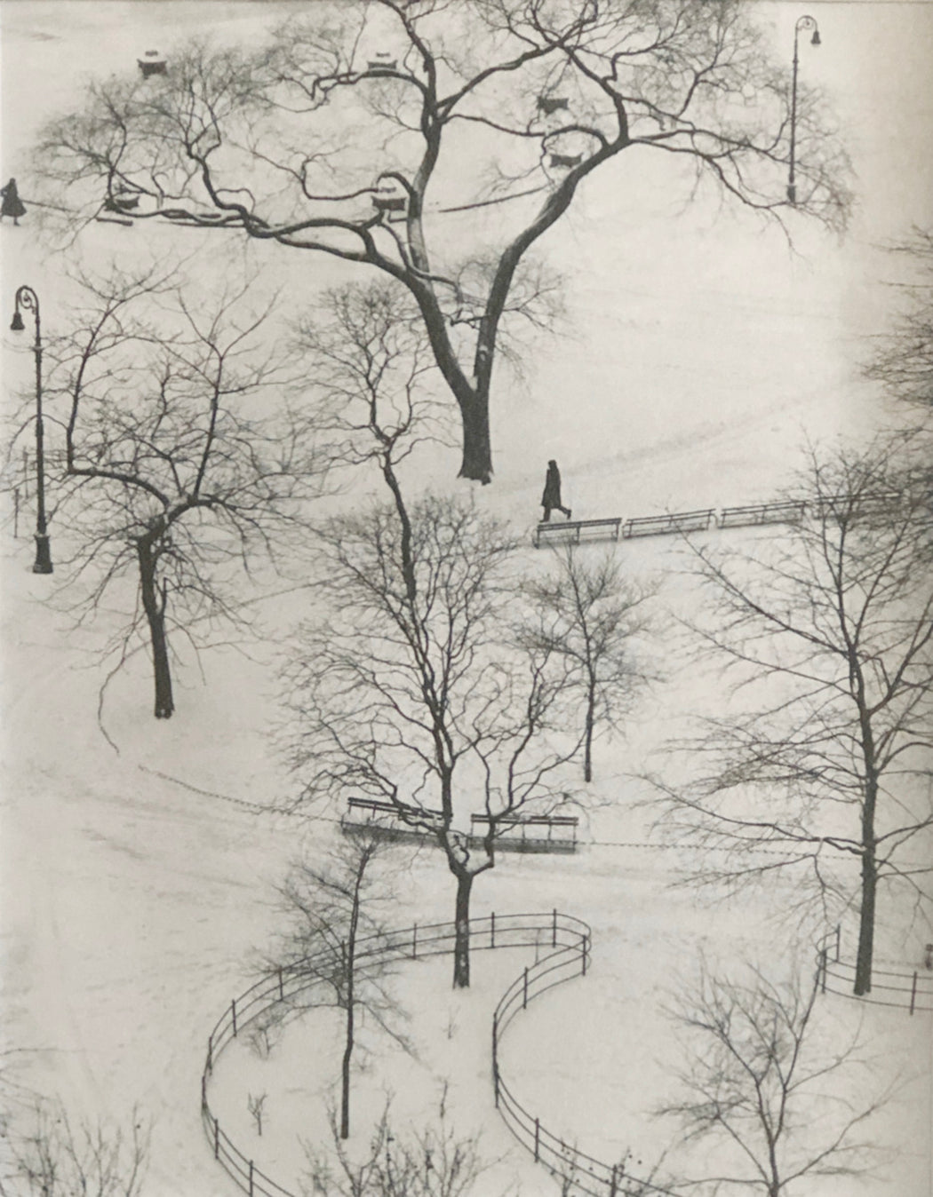 Washington Square, Winter