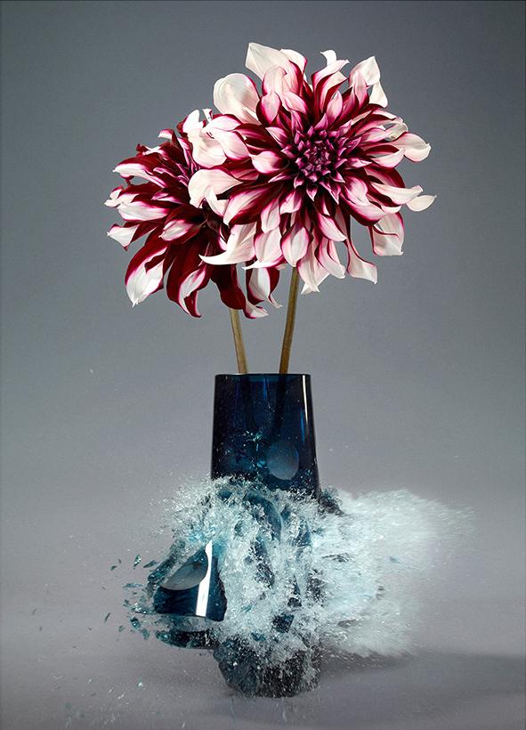 Untitled (Dahlia II) - Martin Klimas | FFOTO