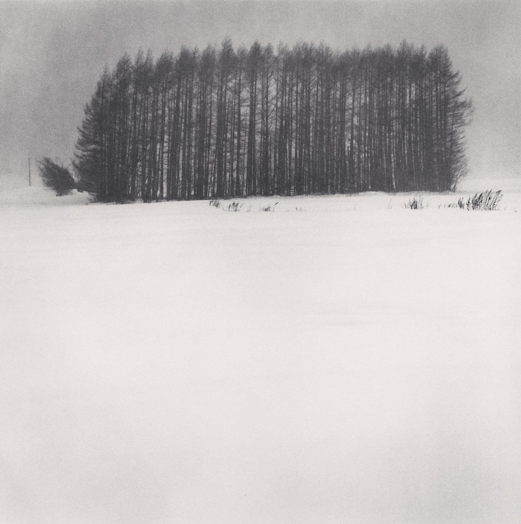 Trees in Snowstorm, Wakoto, Hokkaido, Japan - Michael Kenna