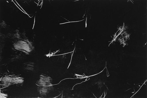 New England, USA, 1969 - Charles Gagnon | FFOTO