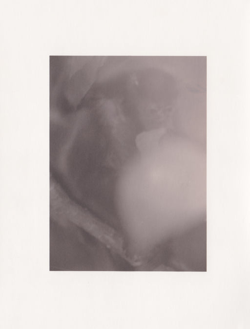Monkey, III - Deanna Pizzitelli | FFOTO