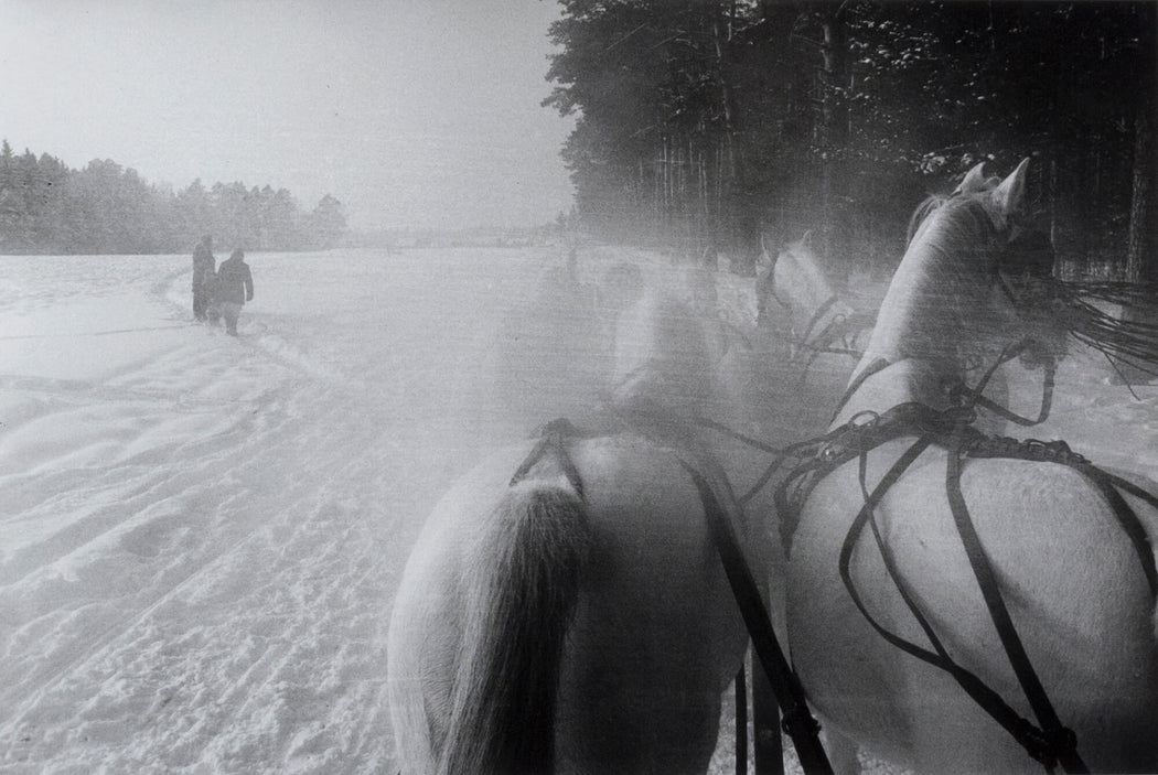 FFOTO-Inge Morath-Five horse sleigh on a stud farm 40 miles west of Moscow (Schlitten, Russland)