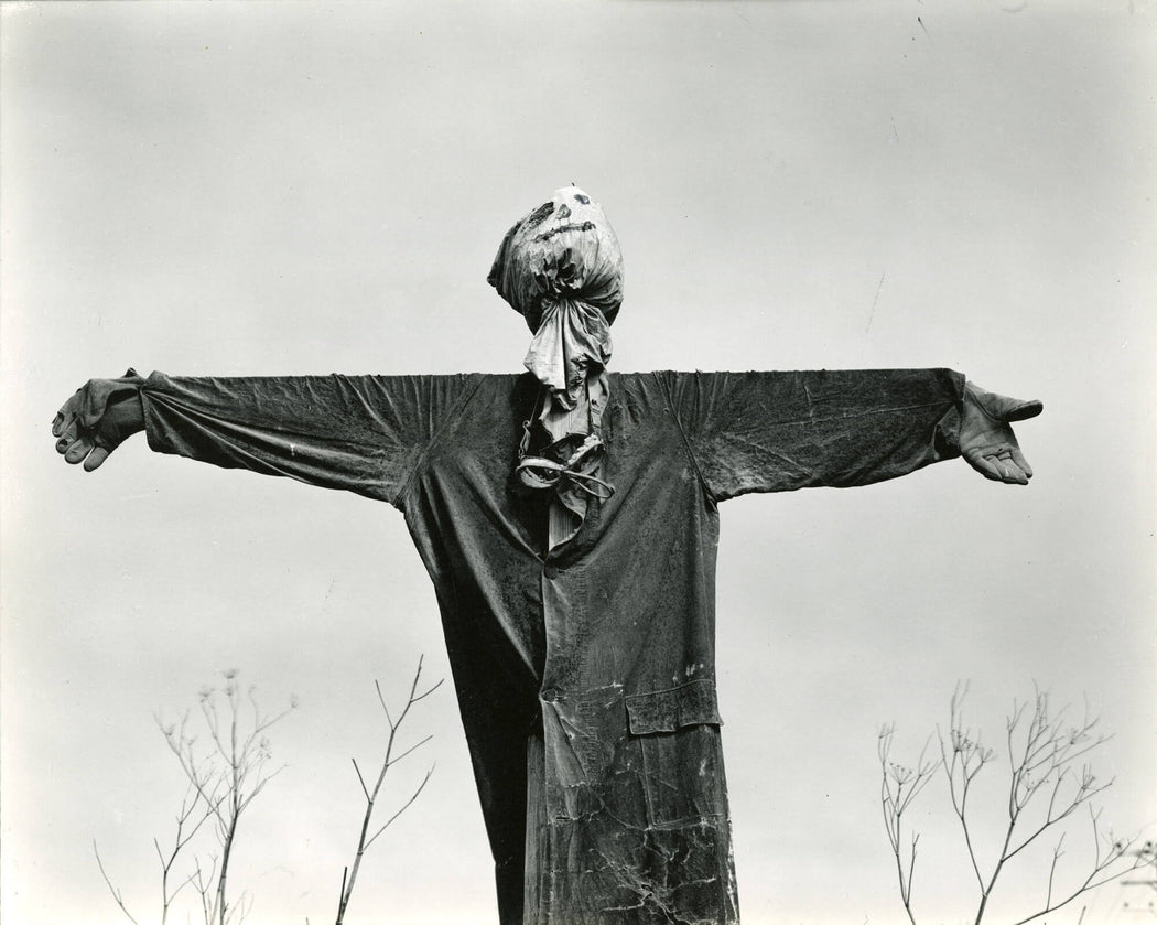 Untitled (scarecrow) - Wynn Bullock | FFOTO